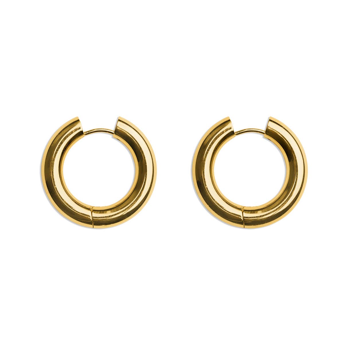 Chunky Nicole Earrings