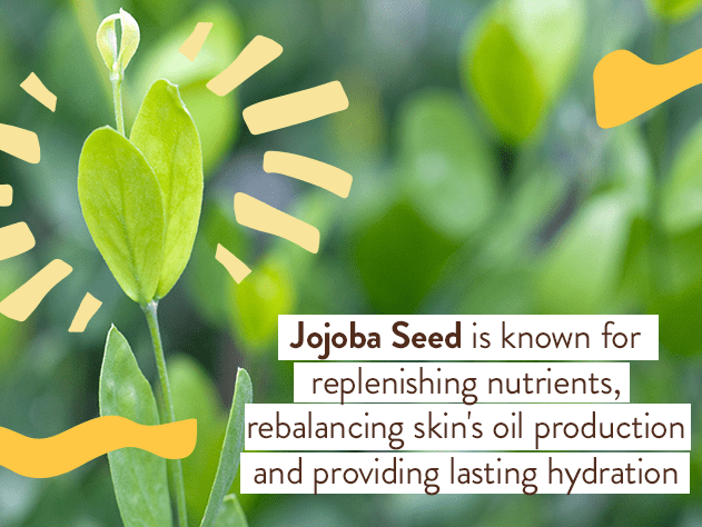 Swim & Sport Mineral Sunscreen Spray SPF30