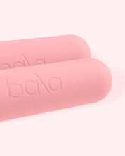 Bala Bars (3 lb)