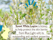 Daily Sheer Tinted Mineral Sunscreen Fluid SPF50