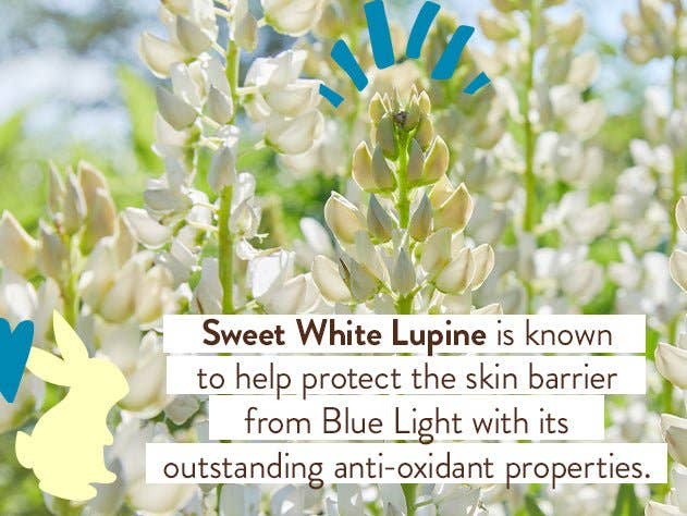 Daily Sheer Tinted Mineral Sunscreen Fluid SPF50