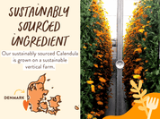 Moisturizing Oat & Calendula Shampoo & Wash - 16oz