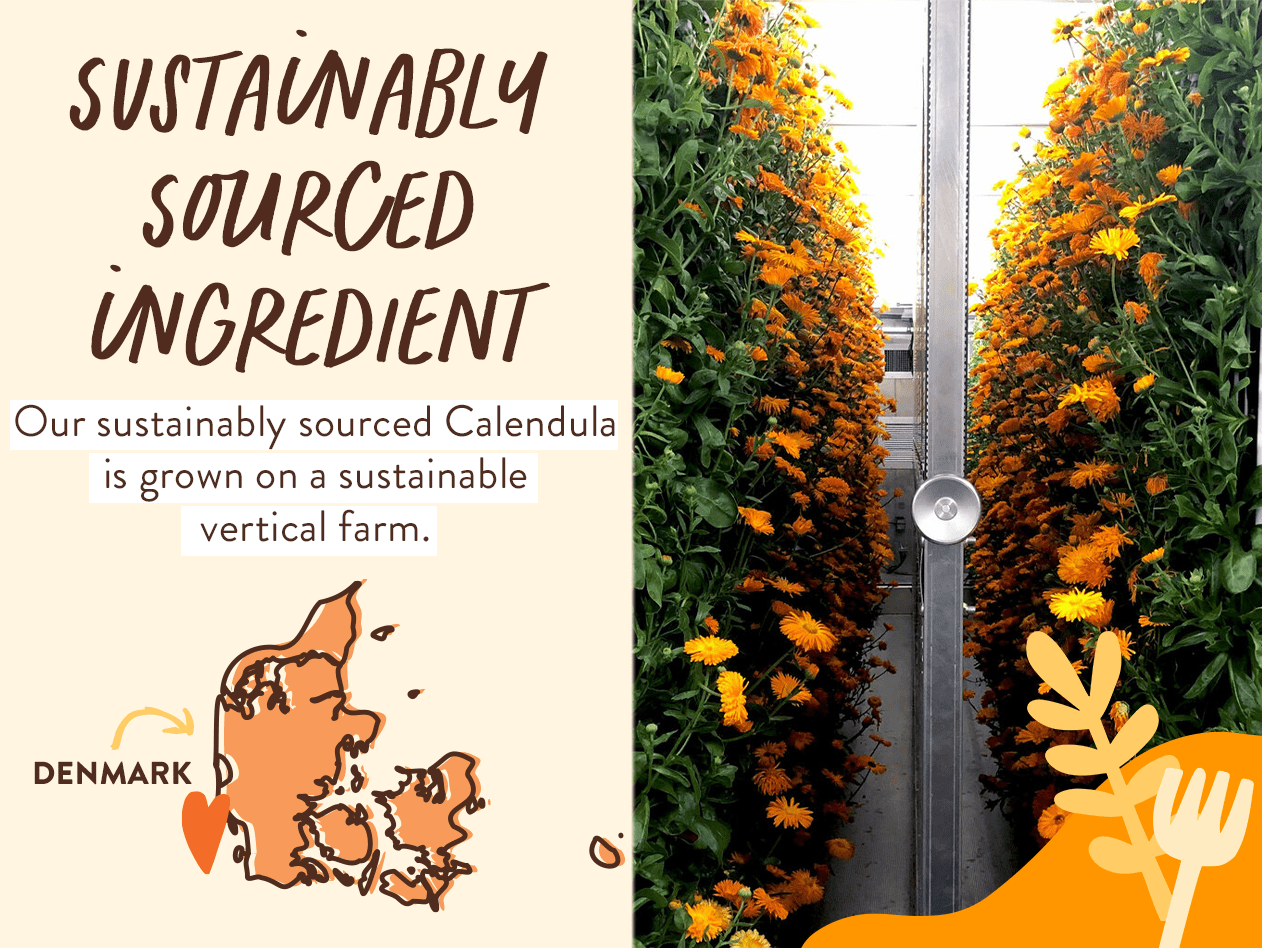 Moisturizing Oat & Calendula Shampoo & Wash - 16oz