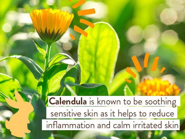 Moisturizing Oat & Calendula Conditioner