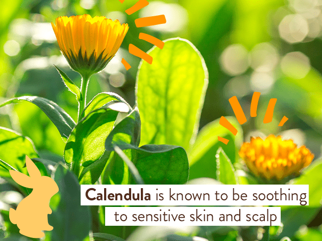 Moisturizing Oat & Calendula Shampoo & Wash - 16oz