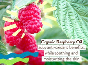 Daily Sheer Tinted Mineral Sunscreen Fluid SPF50