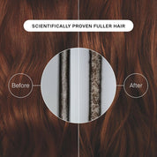 Full Dry Volume Blast Texture Spray