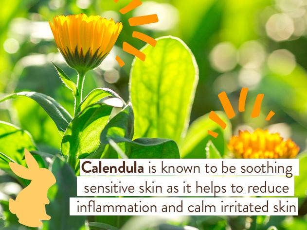 Moisturizing Oat & Calendula Body Lotion