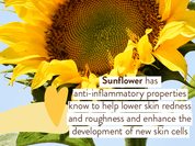 Swim & Sport Mineral Sunscreen Spray SPF30