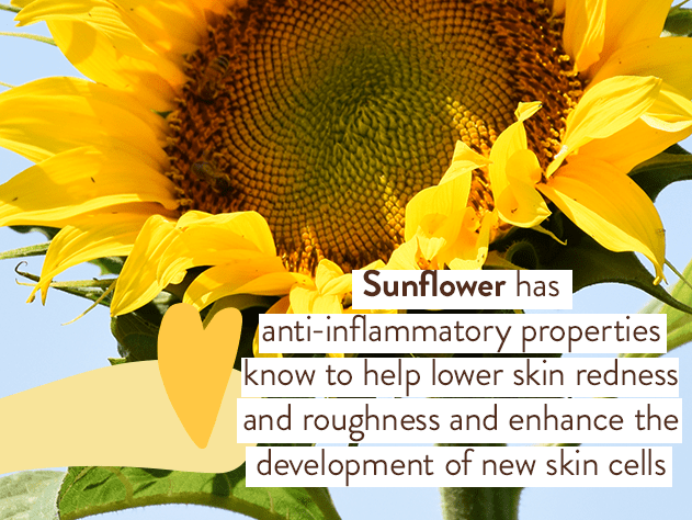 Swim & Sport Mineral Sunscreen Spray SPF30