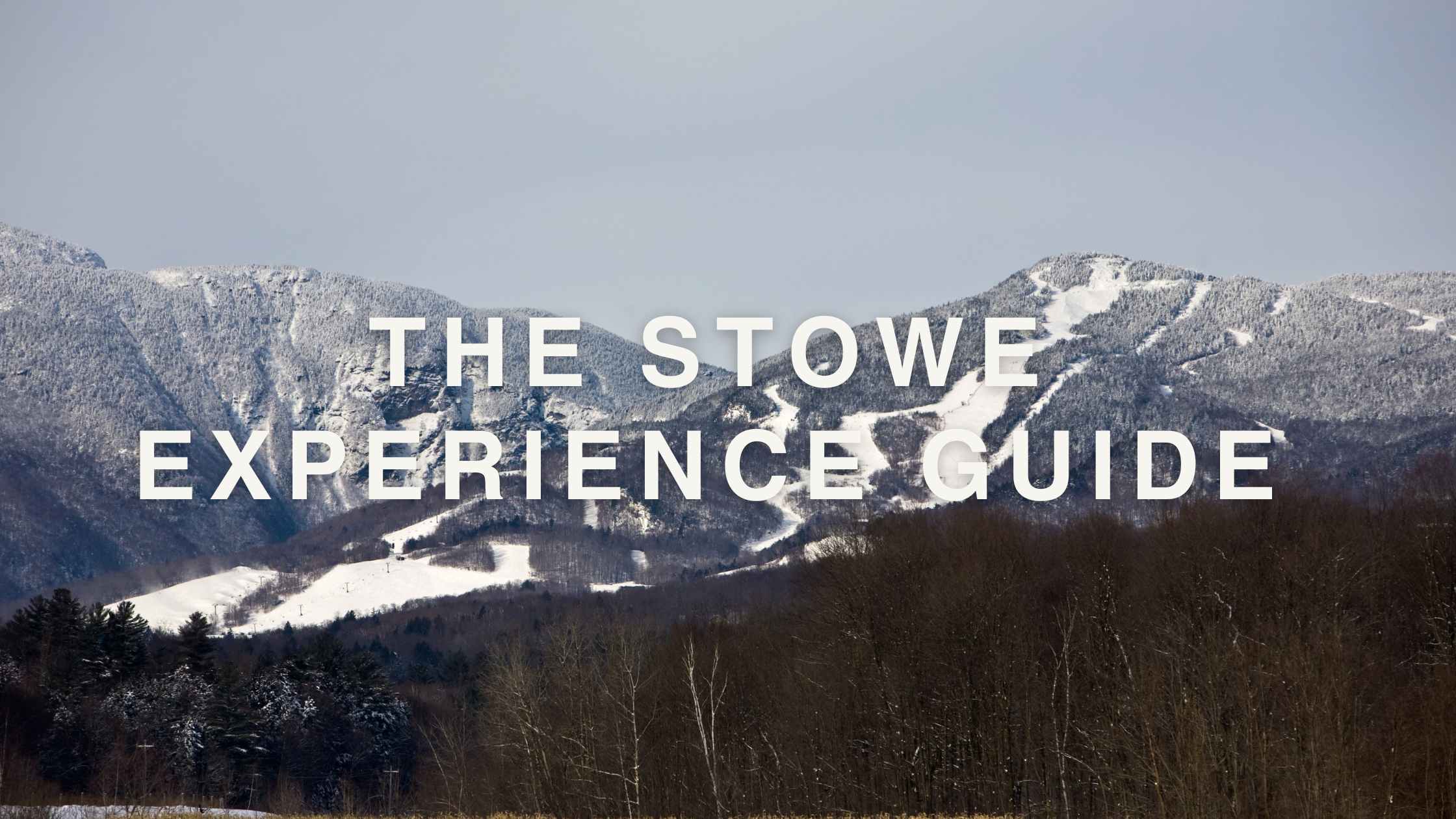 The Ultimate SALT + GROVE Experience