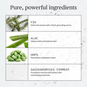 Forest Fix Spray Deodorant