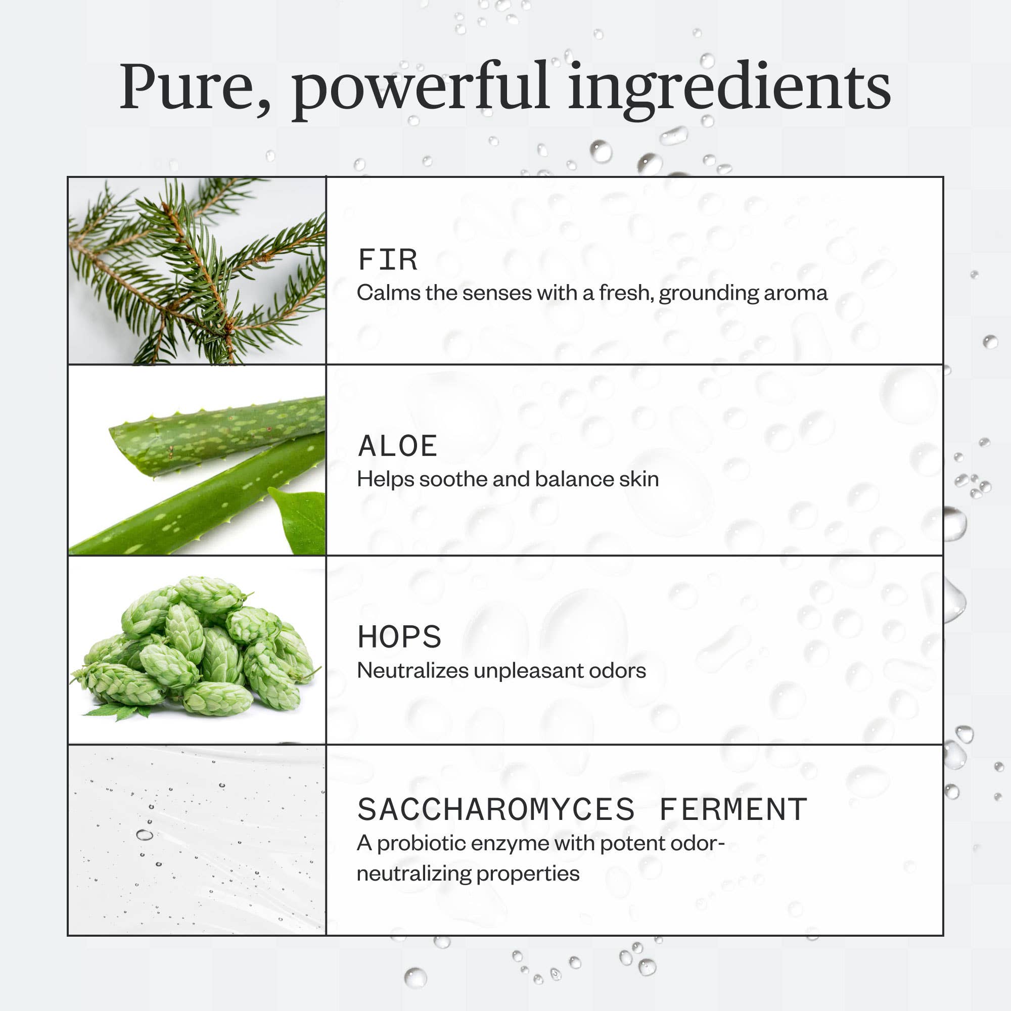 Forest Fix Spray Deodorant