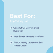 Fragrance-Free Moisturize Conditioner Bar