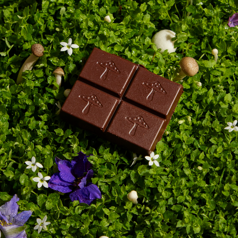 
                      
                        Nightcap Mushroom Chocolates for Deep Sleep
                      
                    