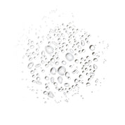 Forest Fix Spray Deodorant