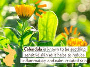 Moisturizing Oat & Calendula Body Lotion